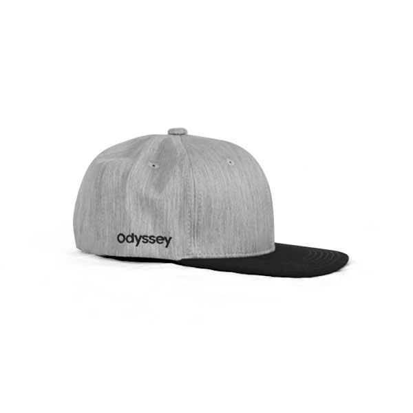 CLASSIC SNAPBACK HATS