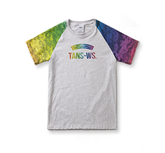 RAGLAN SLEEVE TEE