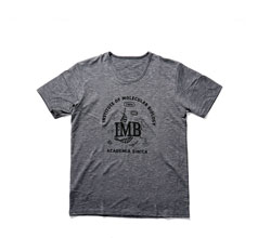 CREW NECK TEE
