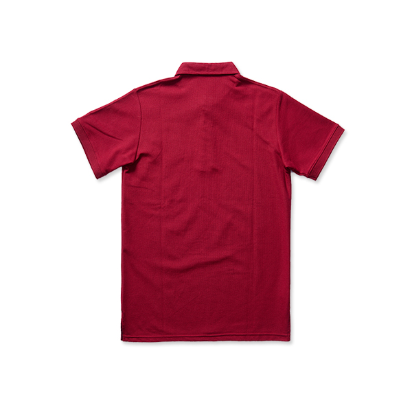 SHIRT COLLAR POLO