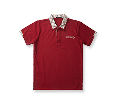 SHIRT COLLAR POLO